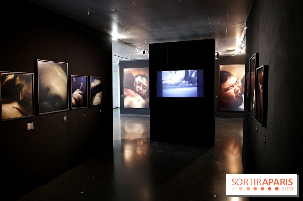 Sumo, forces sacrées : nos photos de l'exposition