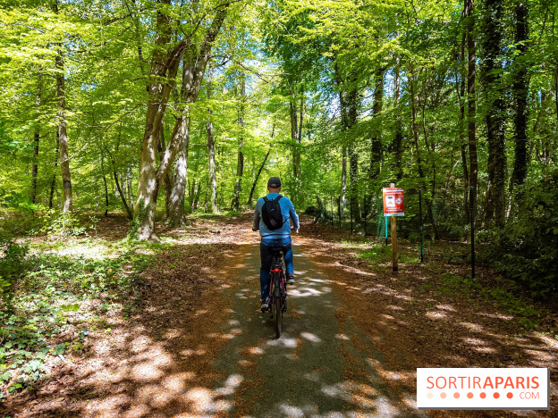 Liaisons douces à Fontainebleau : la forêt à vélo, les photos