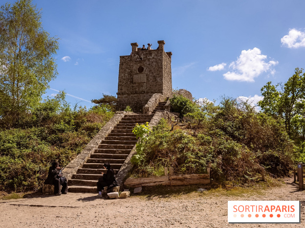 Liaisons douces à Fontainebleau : la forêt à vélo, les photos