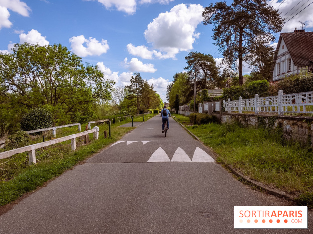Liaisons douces à Fontainebleau : la forêt à vélo, les photos