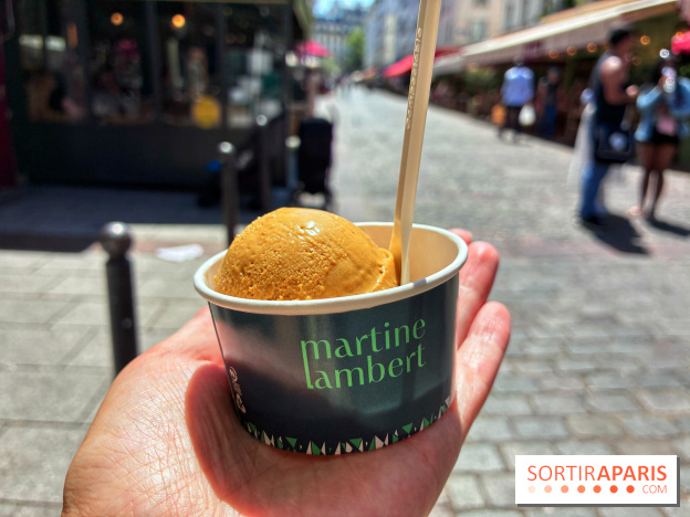 Glaces Martine Lambert
