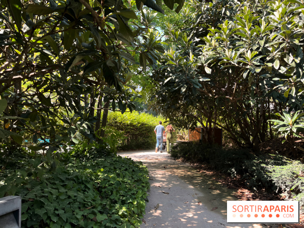 Le Jardin Claire Motte, square secret dans le 17e arrondissement