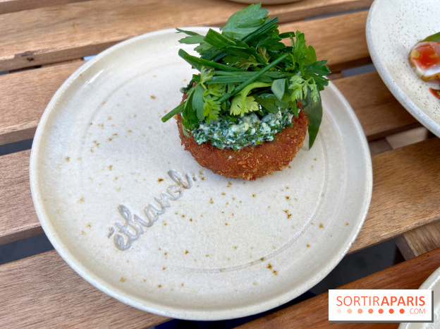 Ethanol - Croquettes de rillettes