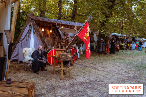Gargenville : la Fête Médiévale viking au château de Rangiport 2026, les photos