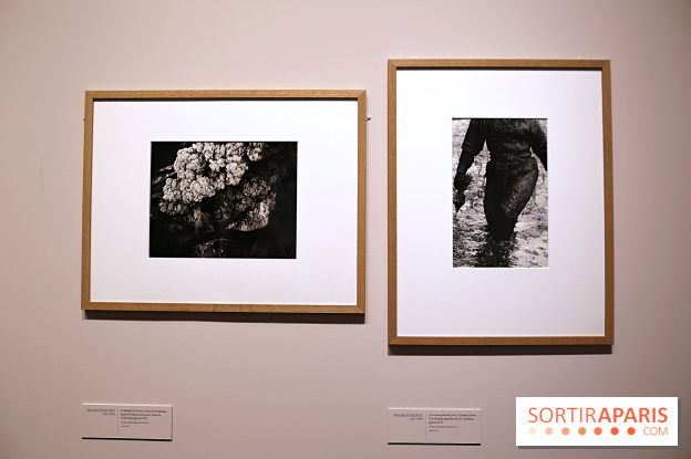 Photographies japonaises de la BnF - nos photos de l'exposition