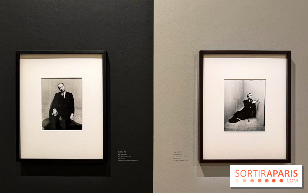 Irving Penn