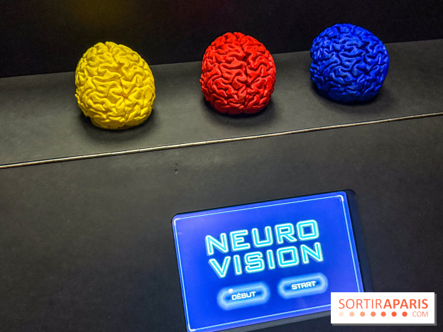 Magie à la Cité des sciences, l'expo qui explique pourquoi on se fait avoir
