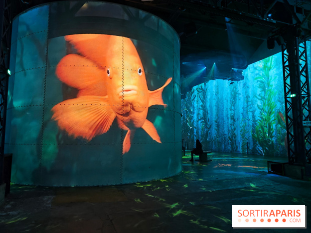 Plongez à la découverte de Planète Océan, l’exposition immersive de l’Atelier des Lumières