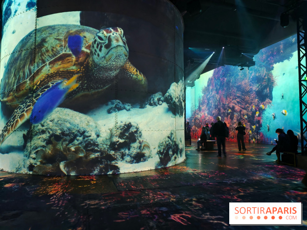 Plongez à la découverte de Planète Océan, l’exposition immersive de l’Atelier des Lumières