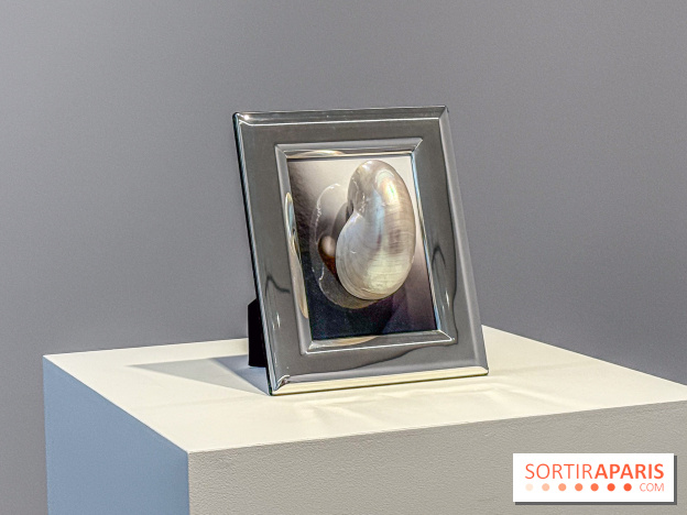 Hélène Fauquet : Vivresse, l’exposition entre bulles et coquillages à Lafayette Anticipations.