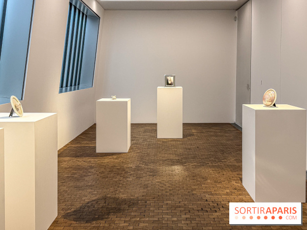 Hélène Fauquet : Vivresse, l’exposition entre bulles et coquillages à Lafayette Anticipations.