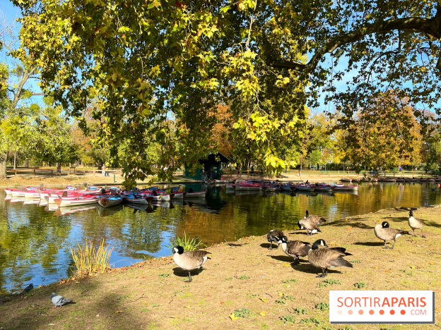 Les îles du Lac Daumesnil, une escapade dans le 12e arrondissement de Paris