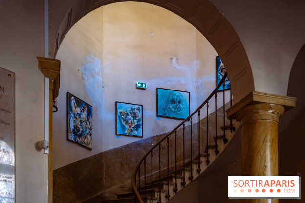 Empreintes, l'exposition Street-art gratuite de Sax à la Fondation Eugène Napoléon