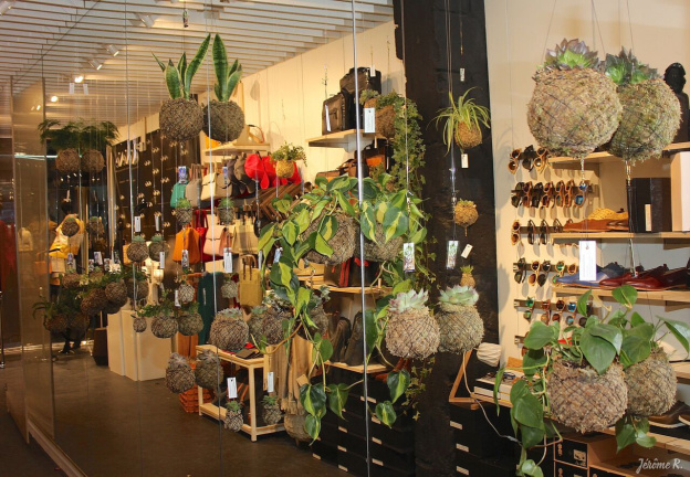 eNeNe Concept Store