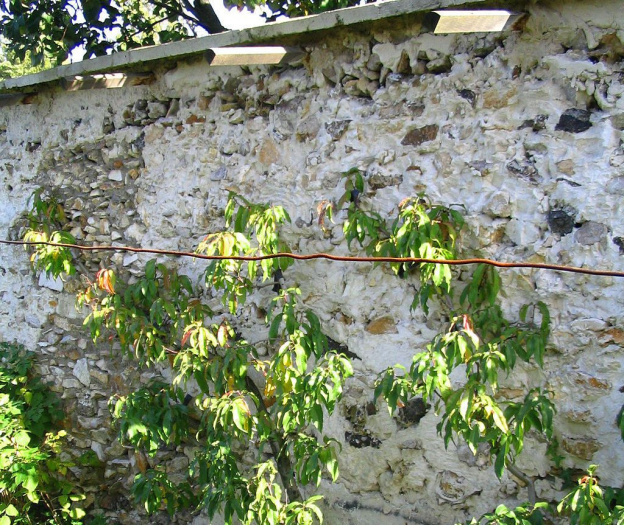 Les Jardins Remarquables d'Ile de France pour des balades reposantes