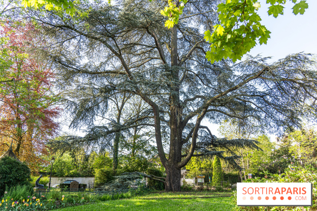 Insolite dans les Yvelines, la superbe grotte cascade du Parc du Dr Fauvel à Villennes-sur-Seine