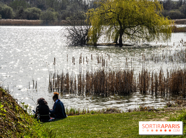 Où pique-niquer dans les Yvelines, les meilleurs bons plans aux superbes vues - étang des Noé - Mesnil saint dénis