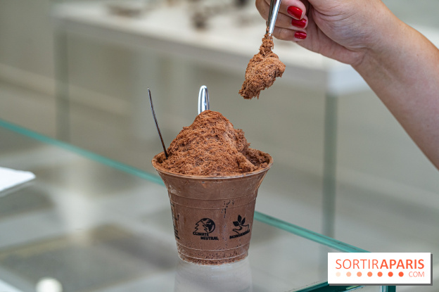 Les glaces granité-neige et crème glacées ultra rafraichissantes de Jade Génin pour se régaler 2024