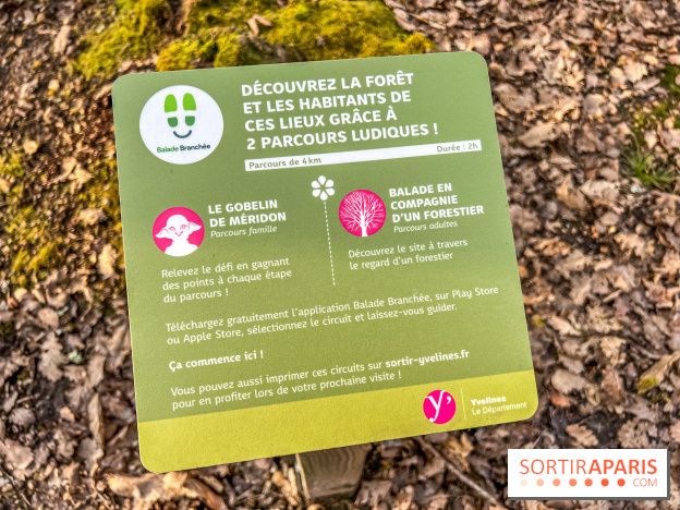 Balade interactive en forêt de Méridon : “Conte de Mélida, l’esprit de la forêt” dans les Yvelines
