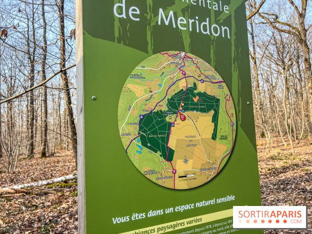 Balade interactive en forêt de Méridon : “Conte de Mélida, l’esprit de la forêt” dans les Yvelines