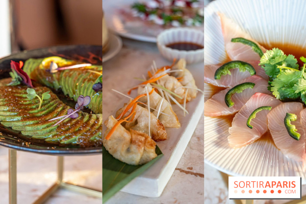 Kinugawa Rive Gauche, le restaurant-terrasse en rooftop franco-japonais de l'Hôtel Sax se dévoile