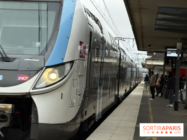 Transports à Paris et en Ile-de-France : les perturbations RER, métro du 26 janvier au 1er février