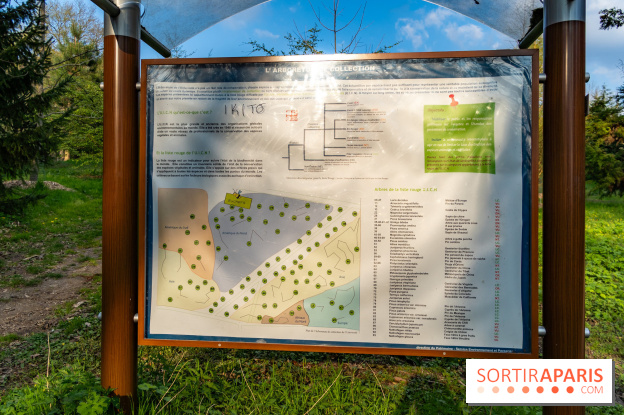 Jardin botanique de Launay et arboretum de Paris-Saclay, le tour du monde végétal en Essonne
