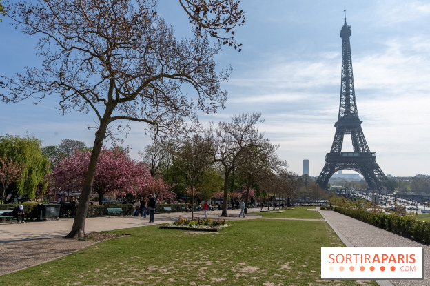 Les cerisiers du Trocadéro fleurissent avec de l'avance en ce printemps 2026