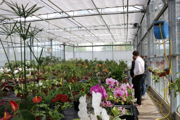 Val d'Oise : des milliers de plantes aux Portes ouvertes du centre Horticole du Grand Paris