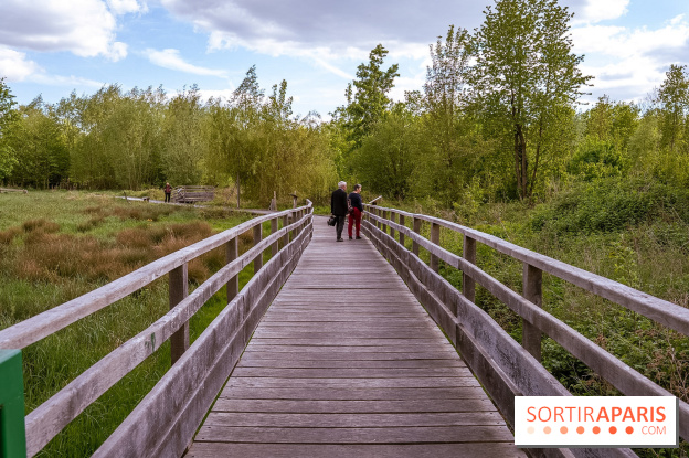 Ile du Perthuis Seine et Marne 