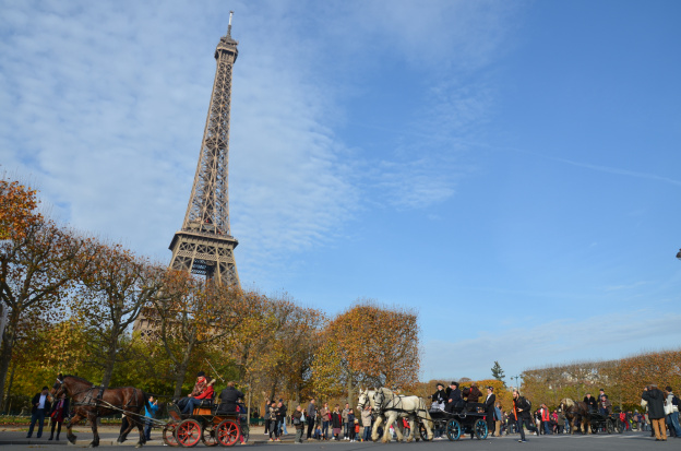 Le salon du cheval défile dans Paris