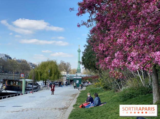 Cerisiers en fleurs à Paris et en Ile-de-France, où les trouver
