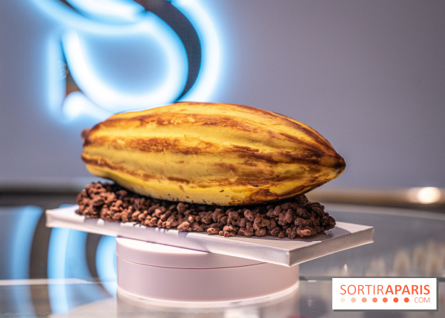 La Bûche de Noël de la pâtisserie CinqSens par Nicolas Paciello et la Chocologue