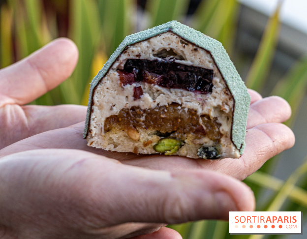 La Bûche de Noël Cigale de Bryan Exposition pour l'Institut Raphael