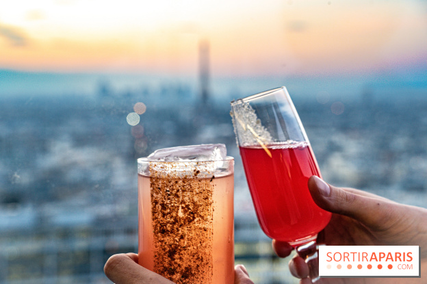 Le Skybar rooftop, le plus haut bar à ciel ouvert de Paris