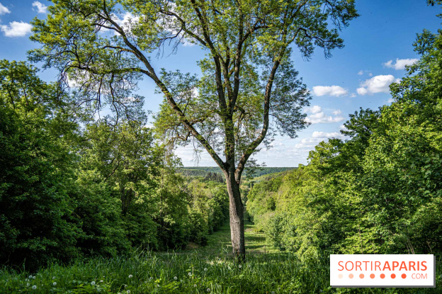 Le Château de Breteuil en photos, ses sublimes jardins et ses contes et animations