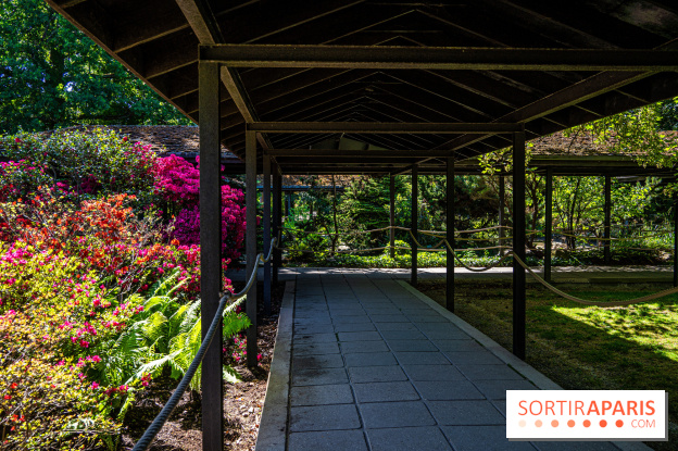 Le Parc Floral, un magnifique écrin de verdure à Paris