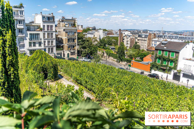Le Café Renoir, la terrasse estivale cachée du Musée de Montmartre
