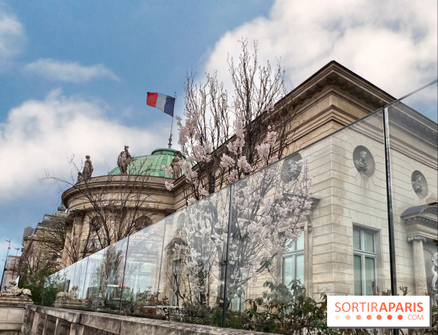 Découvrez le Musée gratuit de la Légion d'Honneur : Un Voyage à Travers l'Histoire des Distinctions