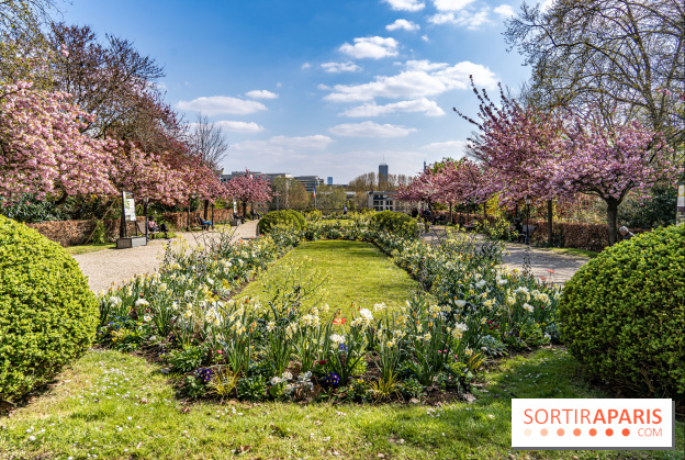 Où voir des cerisiers en fleurs à Paris et en Île-de-France : nos spots coup de cœur !