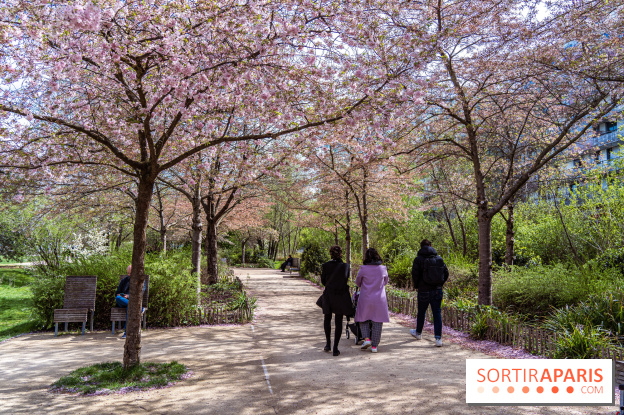 Où voir des cerisiers en fleurs à Paris et en Île-de-France : nos spots coup de cœur !
