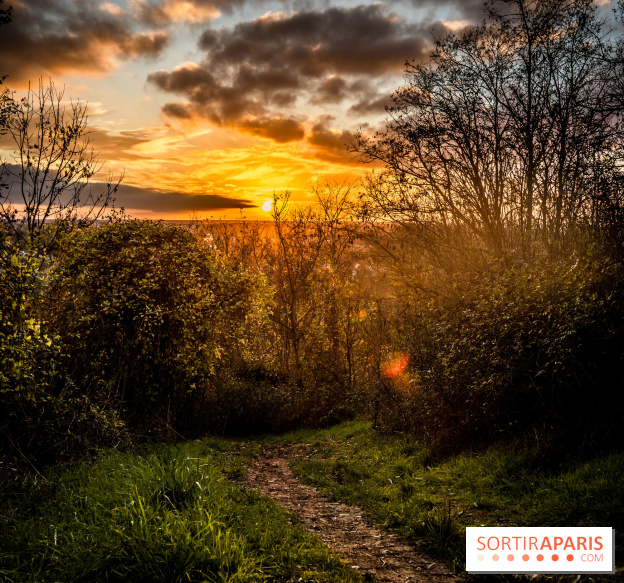 Colline d’elancourt - colline de la revanche 