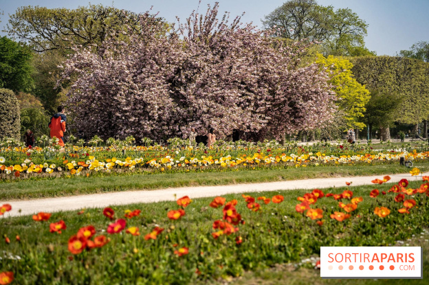 8 trésors méconnus du Jardin des Plantes de Paris à découvrir absolument