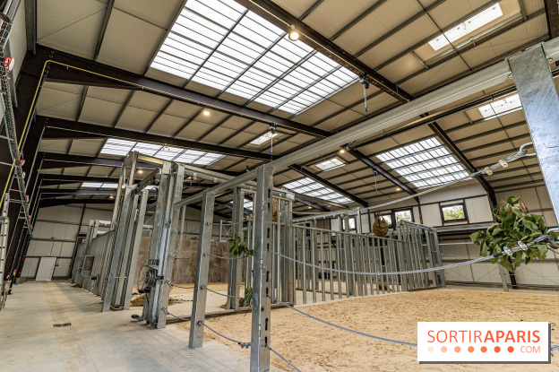 Les nouveaux lodges du Zoo de Thoiry en Terres d'Afrique : une immersion parmi les éléphants - La Maison des éléphants