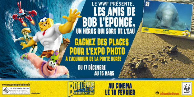 Bob l'éponge