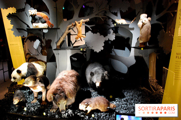 Exposition Nuit au Muséum Natinaol d'Histoire Naturelle