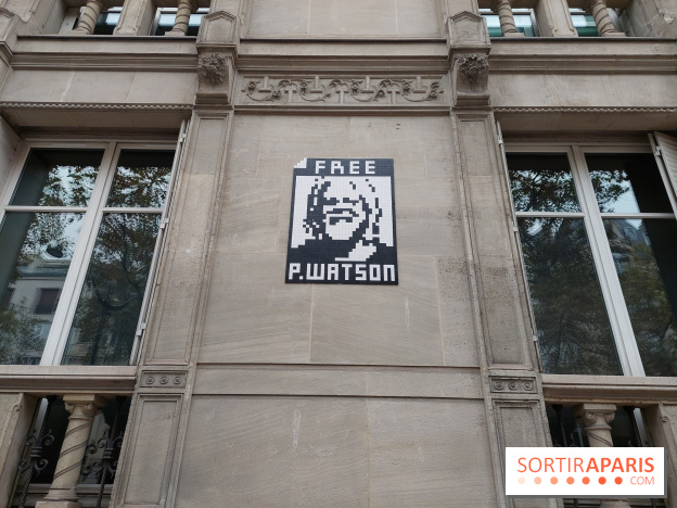 Paul Watson : Paris accorde la citoyenneté d'honneur au militant écologiste