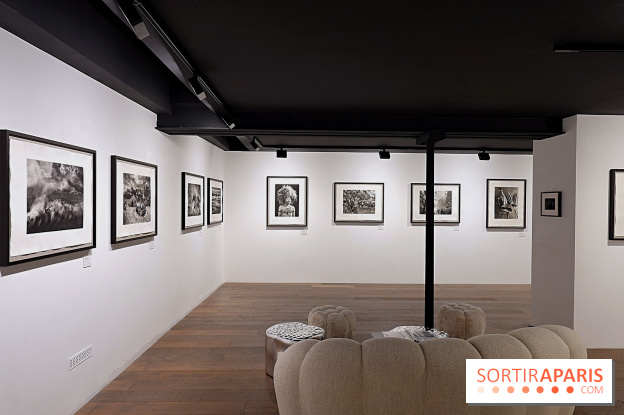 Sebastião Salgado présente son exposition "Genesis Platinum" à la Galerie Polka