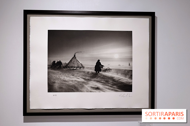 Sebastião Salgado présente son exposition "Genesis Platinum" à la Galerie Polka