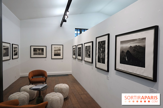 Sebastião Salgado présente son exposition "Genesis Platinum" à la Galerie Polka